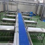 Automatic Cattle Slaughtering Line 3 Automatic Cattle Slaughtering Line 3