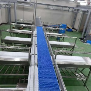 Automatic Cattle Slaughtering Line 3