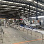 Automatic Cattle Slaughtering Line 7 Automatic Cattle Slaughtering Line 7