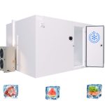 Modular Cold Room 1