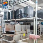 Pig Slaughtering Equipment (Complete Processing Line) 3 Pig Slaughtering Equipment (Complete Processing Line) 3